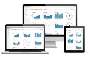 budget123 til Microsoft Dynamics NAV budget123 til Microsoft Dynamics NAV
